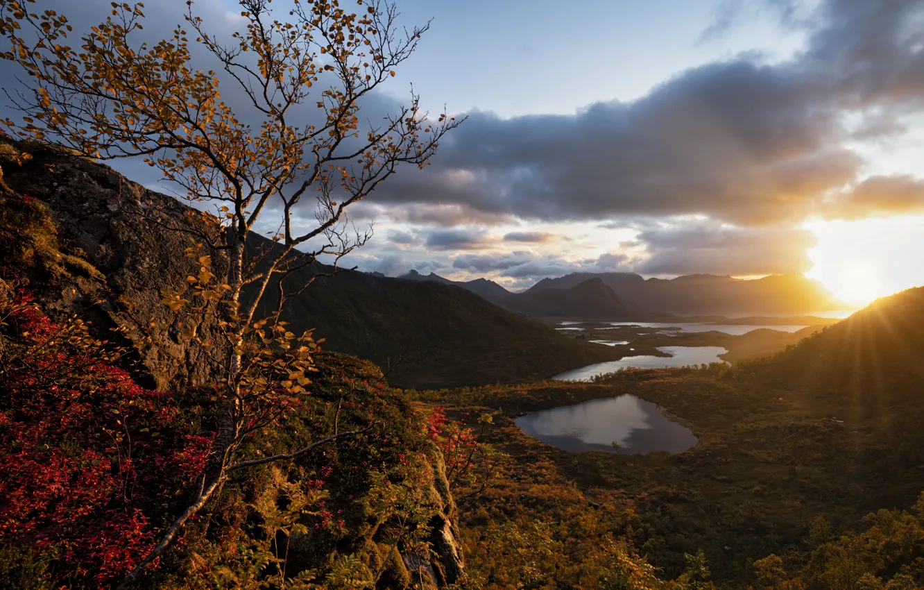 Фото обои солнце, деревья, горы