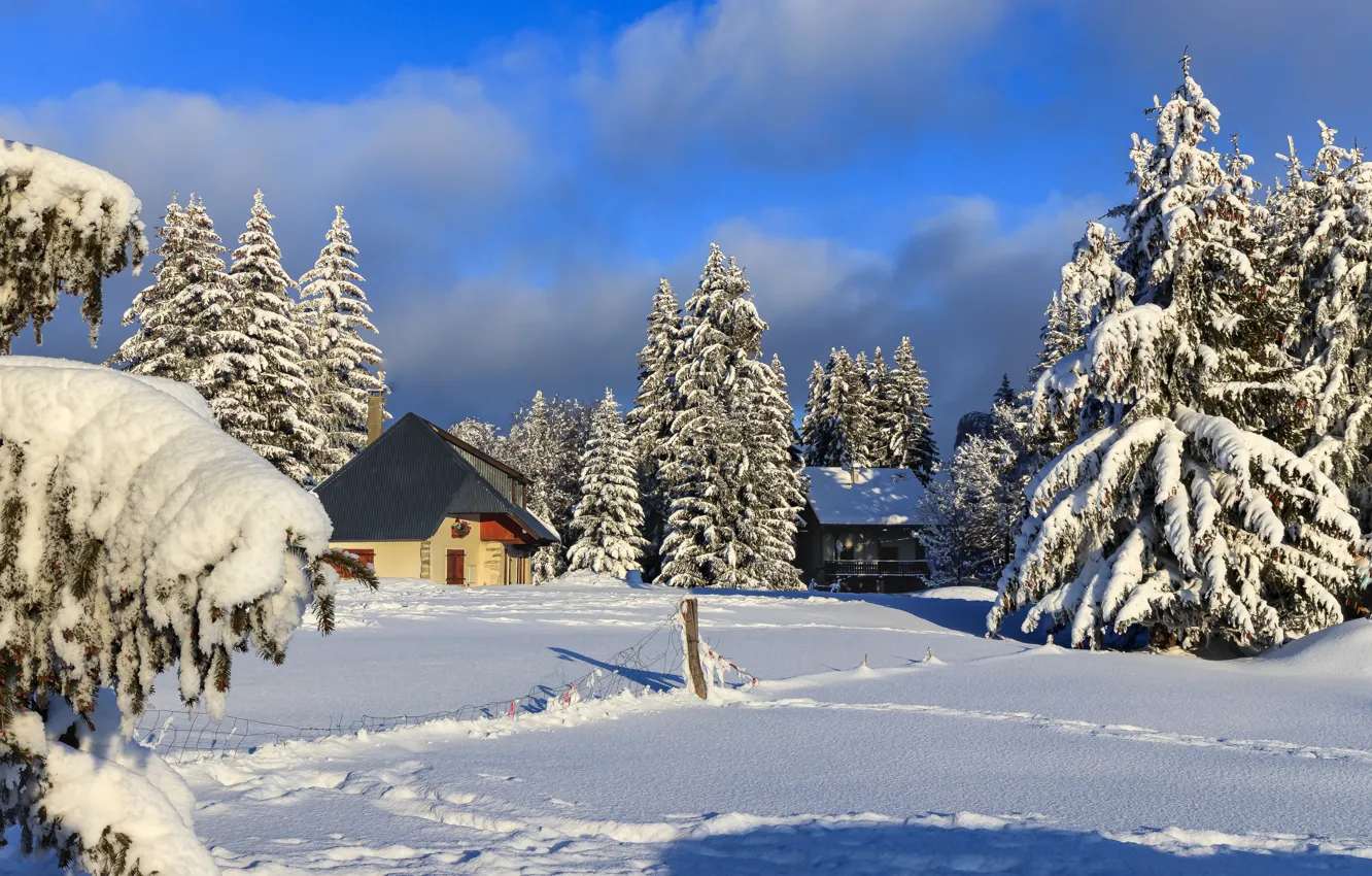 Фото обои зима, снег, деревья, пейзаж, природа, Франция, дома, ели