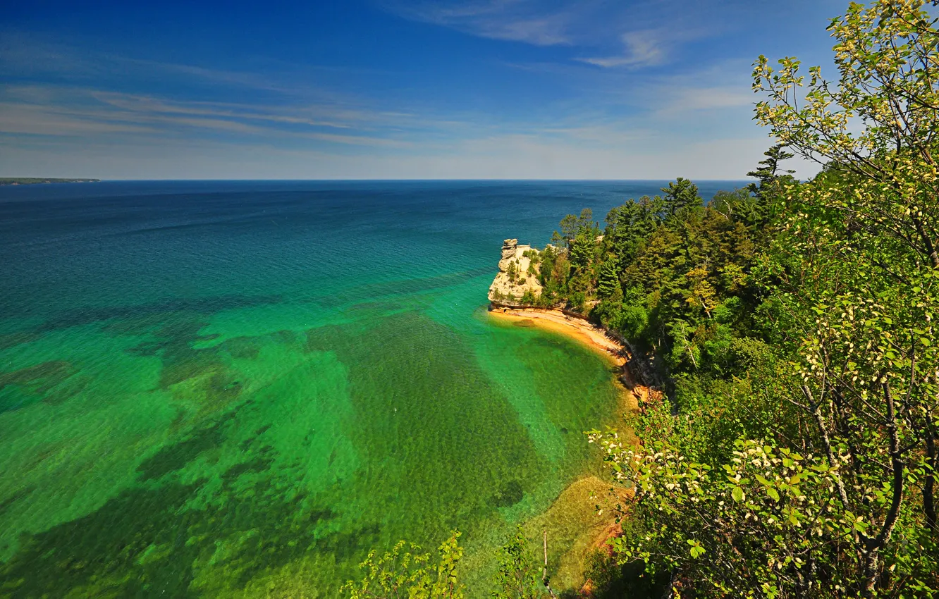 Фото обои море, деревья, природа, скала, берег