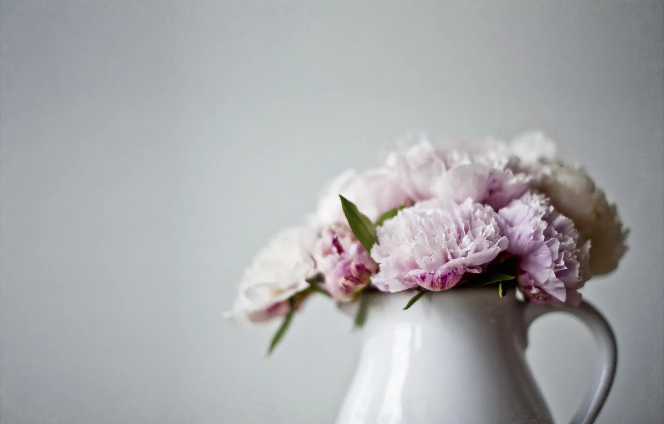 Фото обои цветы, ваза, розовые, кувшин, пионы