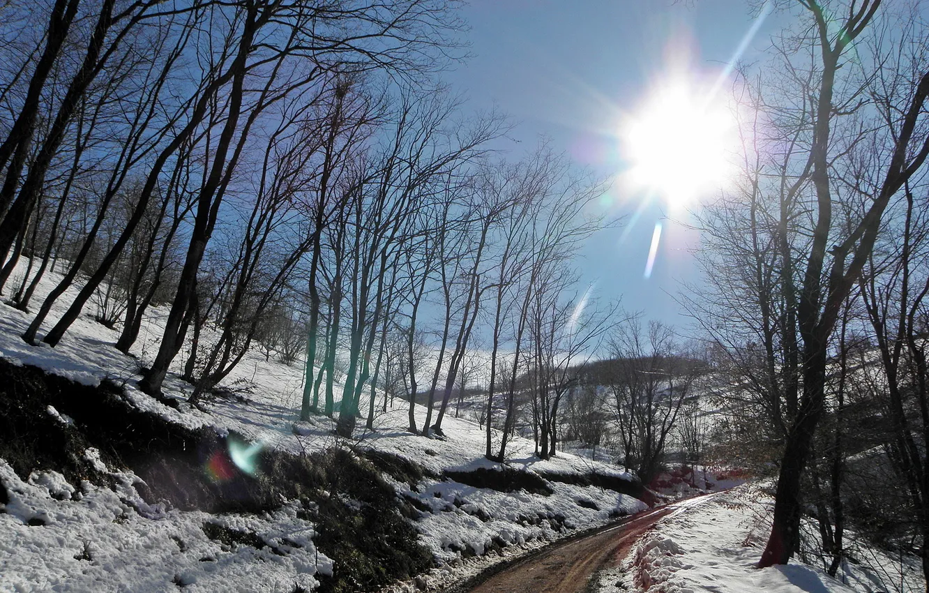 Фото обои зима, дорога, небо, солнце, лучи, снег, деревья, склон