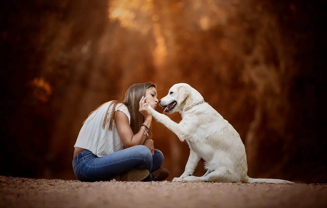 Фото обои настроение, собака, дружба, девочка, друзья, боке, Голден ретривер, Золотистый ретривер
