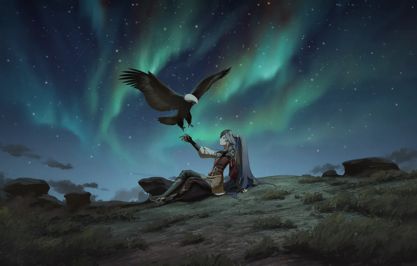 Фото обои девушка, ночь, орел, северное сияние, Honkai Impact 3, Azure Empyrea