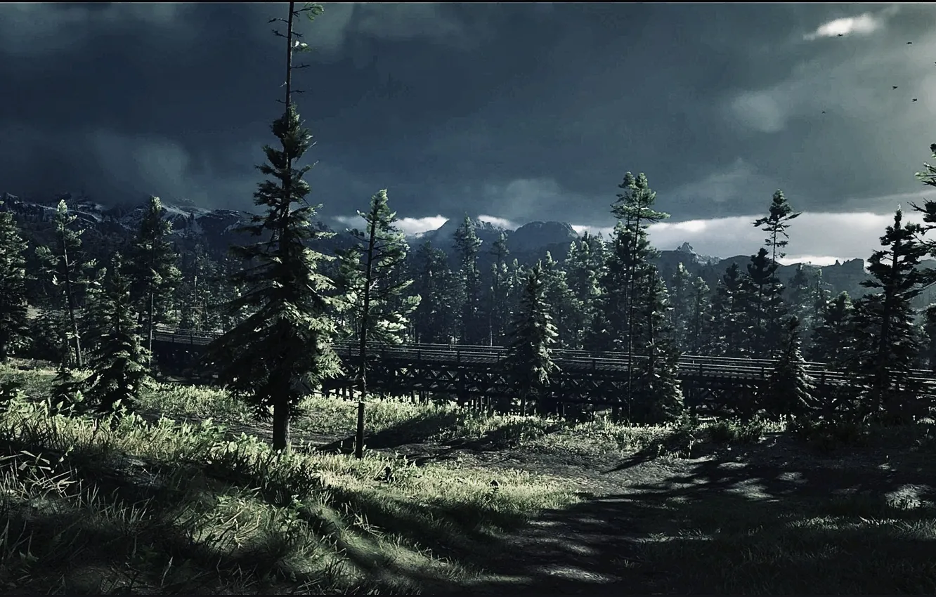 Фото обои HDR, Clouds, Birds, Wood, Bridge, Storm, Rain, Game