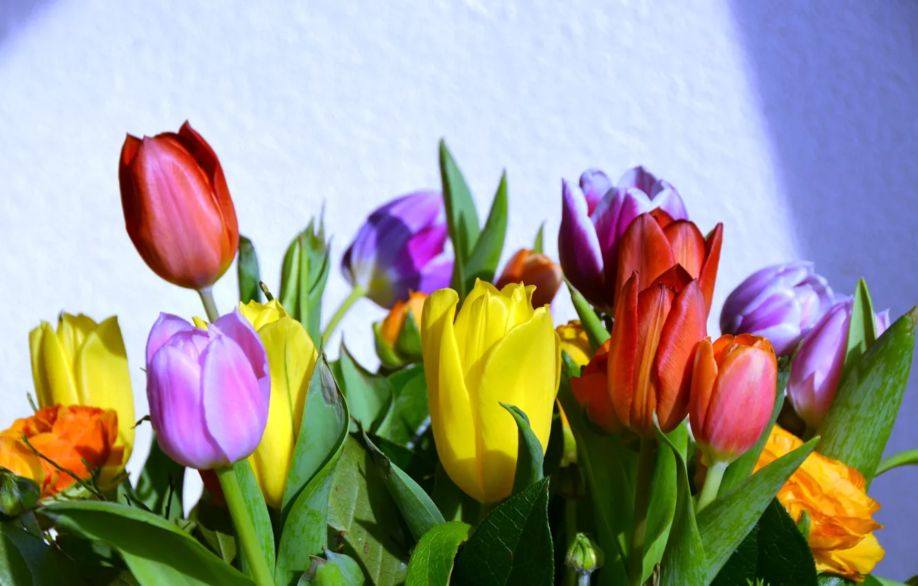 Фото обои листья, свет, цветы, стена, букет, весна, желтые, тюльпаны