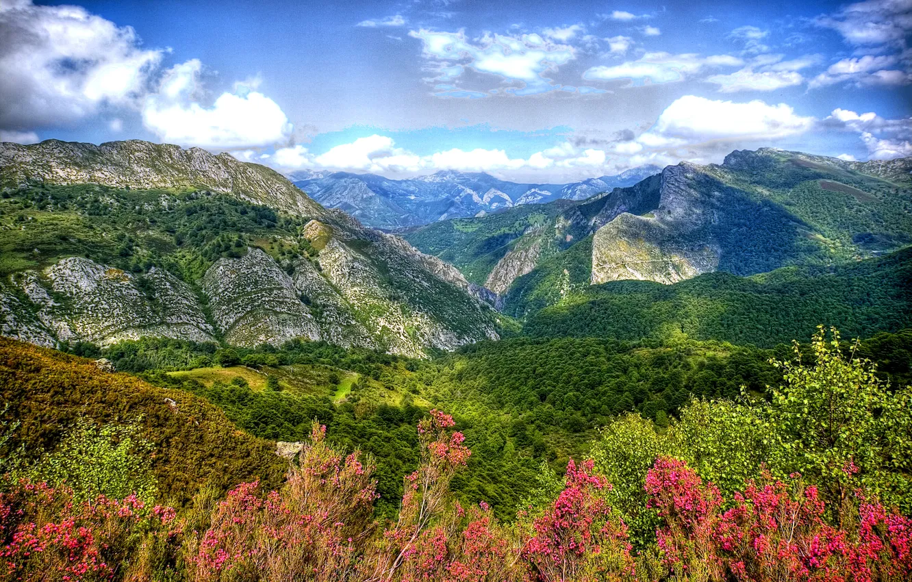 Фото обои горы, обработка, долина, ущелье, Испания, леса, Asturias, Caleao