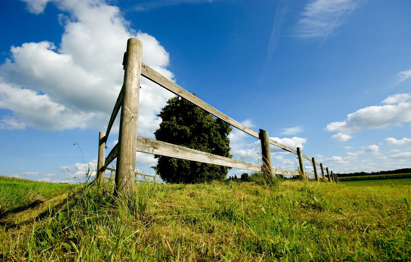 Фото обои поле, небо, трава, обои, пейзажи, забор, луг