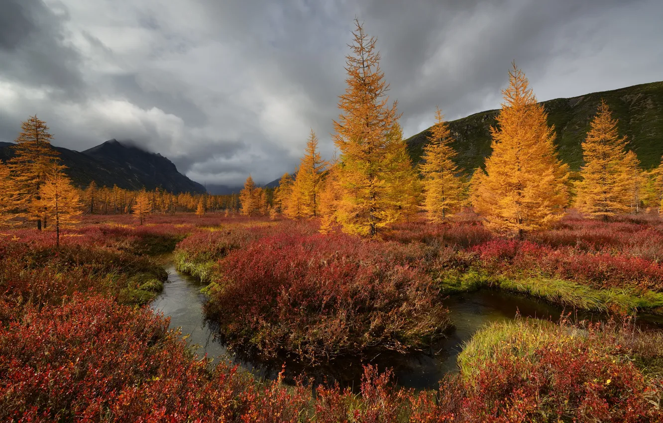 Фото обои осень, облака, деревья, пейзаж, горы, природа, ручей, растительность