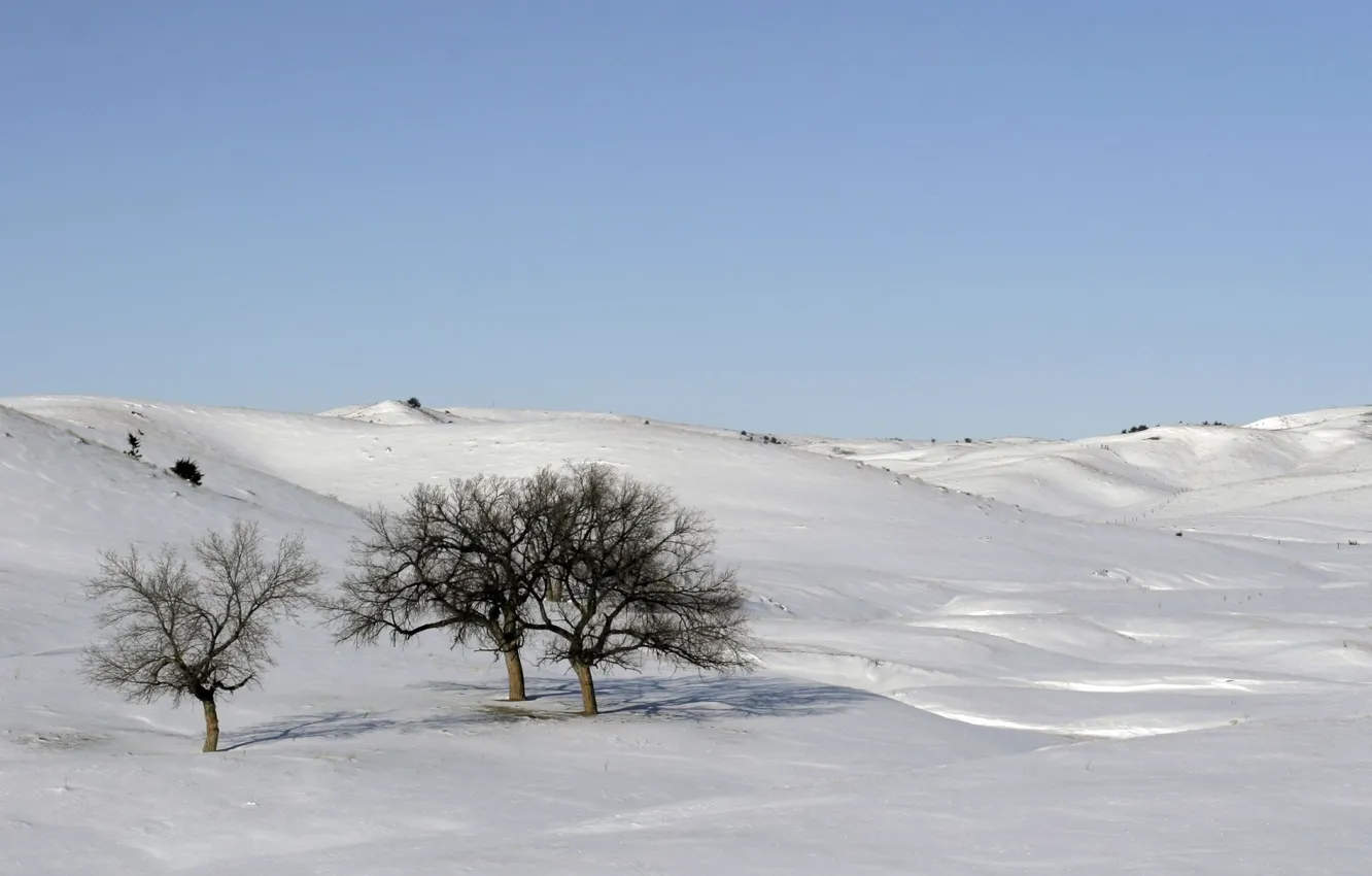 Фото обои небо, снег, деревья, холмы