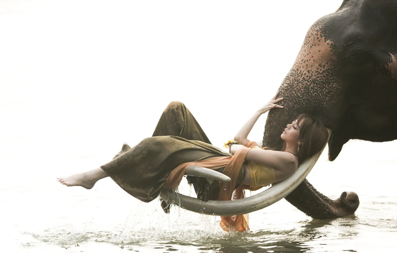 Фото обои девушка, озеро, слон, бивни, Mahawangchang Elephant