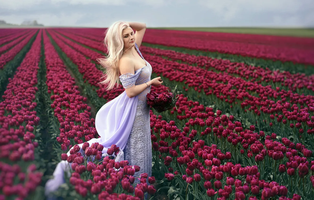 Фото обои поле, девушка, тюльпаны
