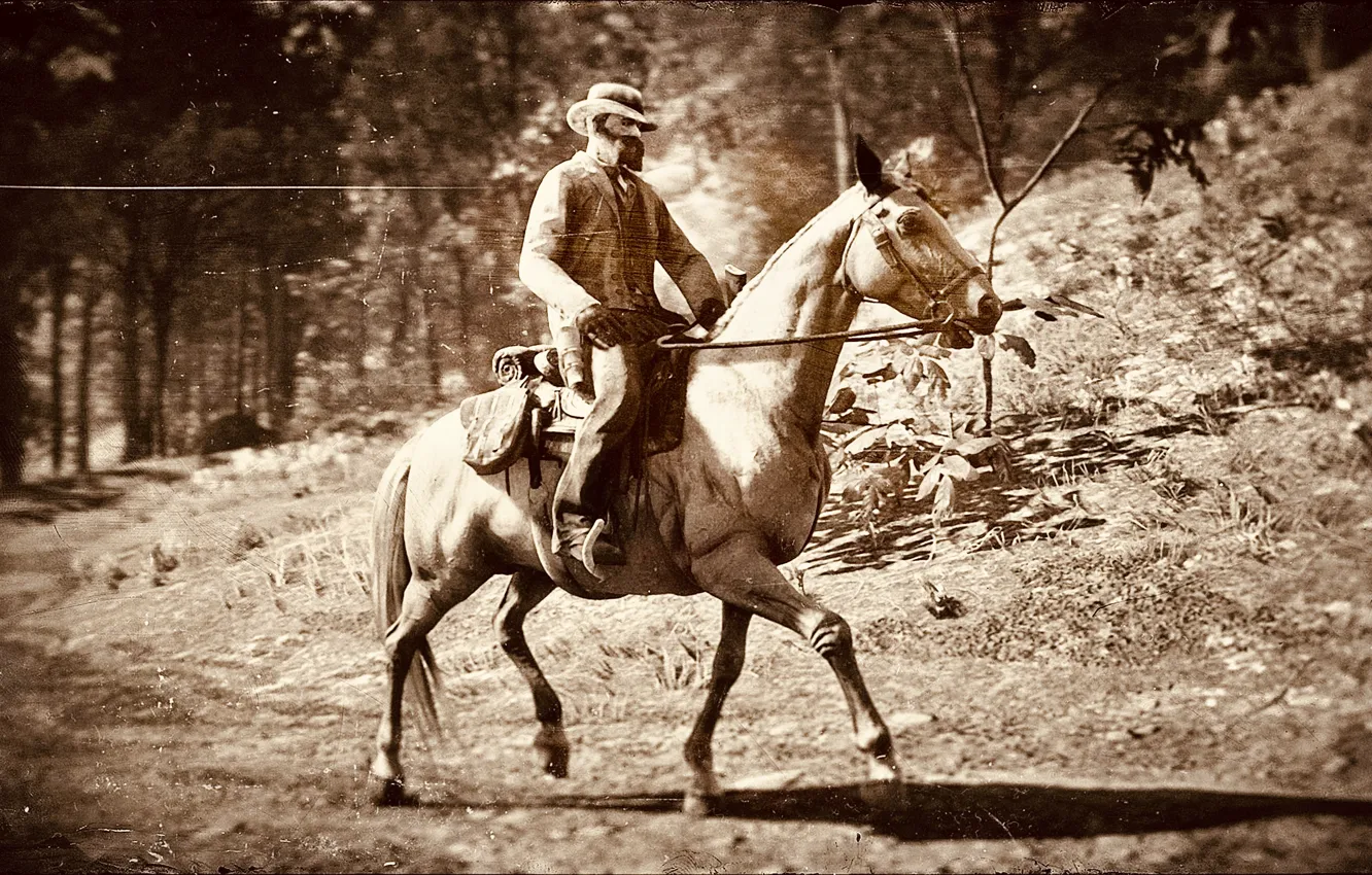 Фото обои HDR, Wood, Game, Man, Horse, UHD, Red Dead Redemption 2, Xbox One X