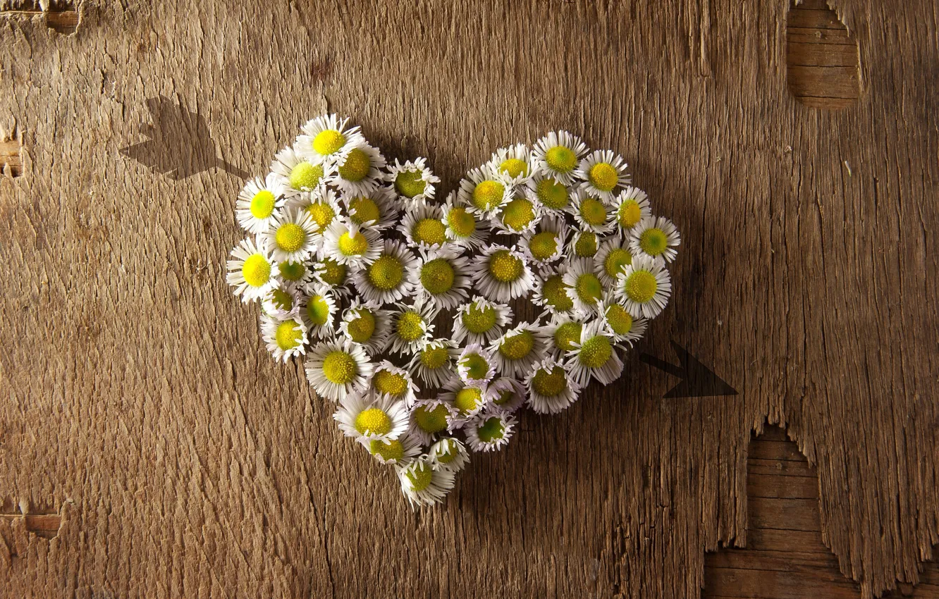 Фото обои цветы, фон, widescreen, обои, настроения, сердце, wallpaper, стрела
