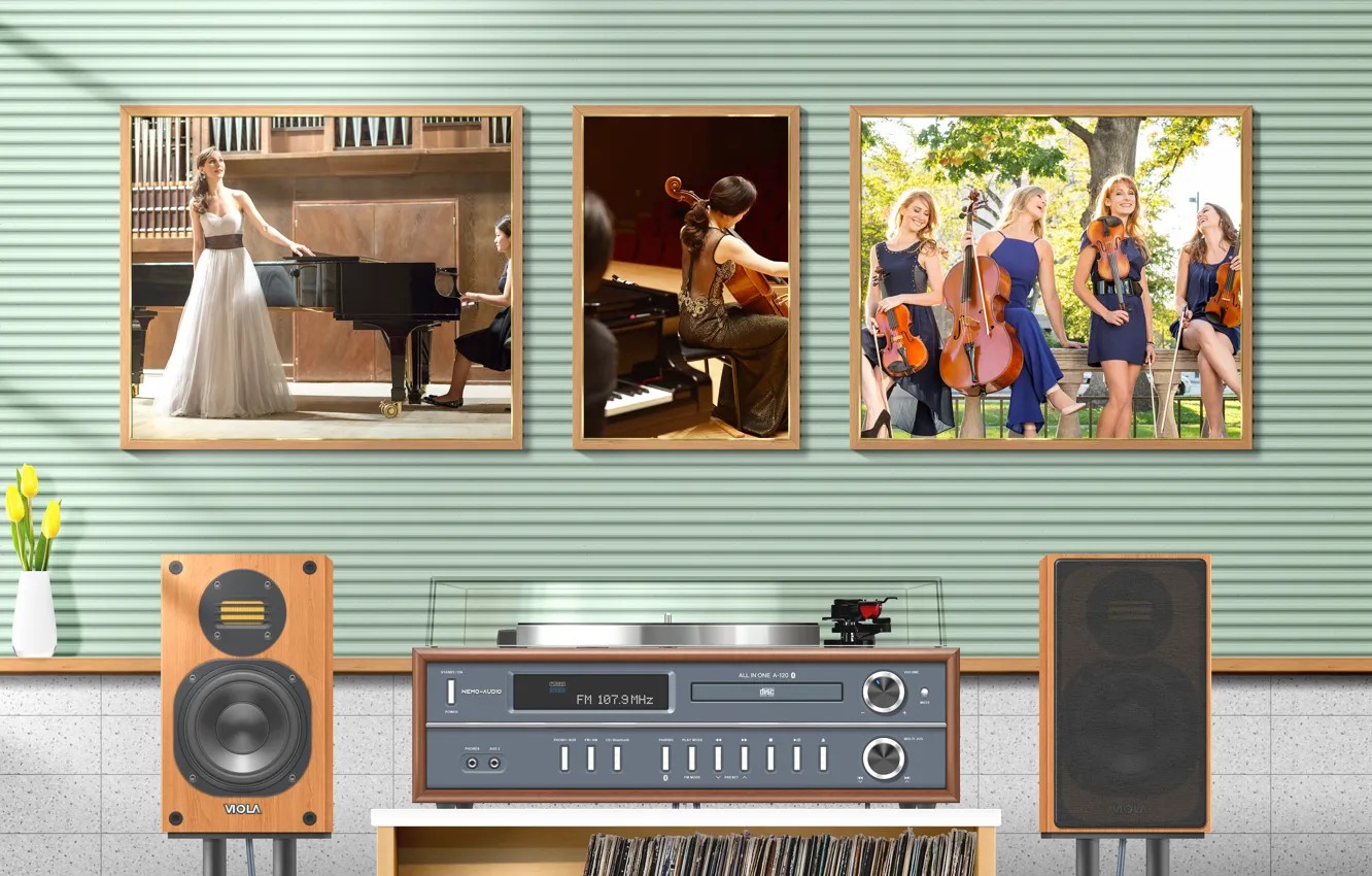 Фото обои music, dress, piano, cello, tulip, audio, speaker, record player