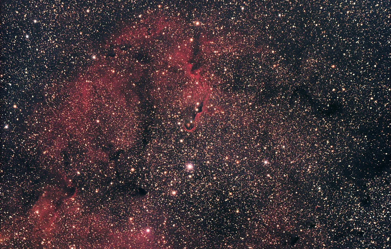 Фото обои космос, звезды, nebula, Elephant's Trunk, IC 1396