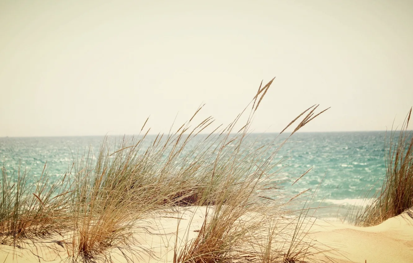 Фото обои песок, море, пляж, трава, рассвет, дюны
