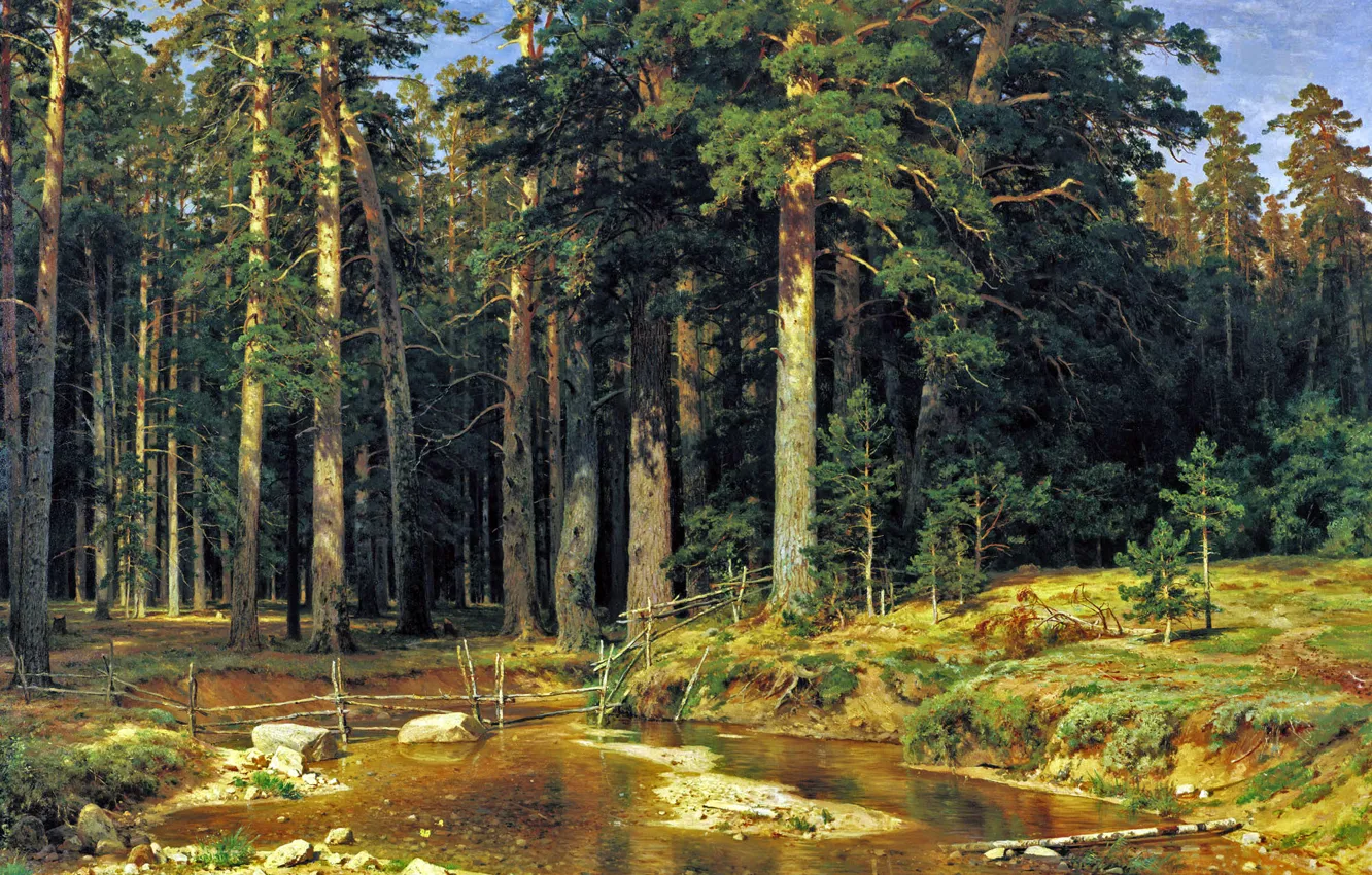 Фото обои лес, картина, Шишкин, Корабельный