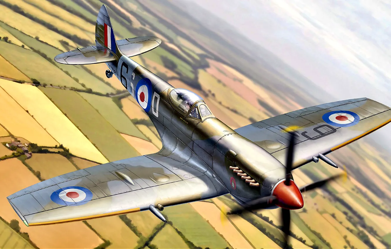 Фото обои Великобритания, Royal Air Force, Spitfire Mk.XVI, истребитель - бомбардировщик, Packard Merlin 266, с каплевидным фонарём, …