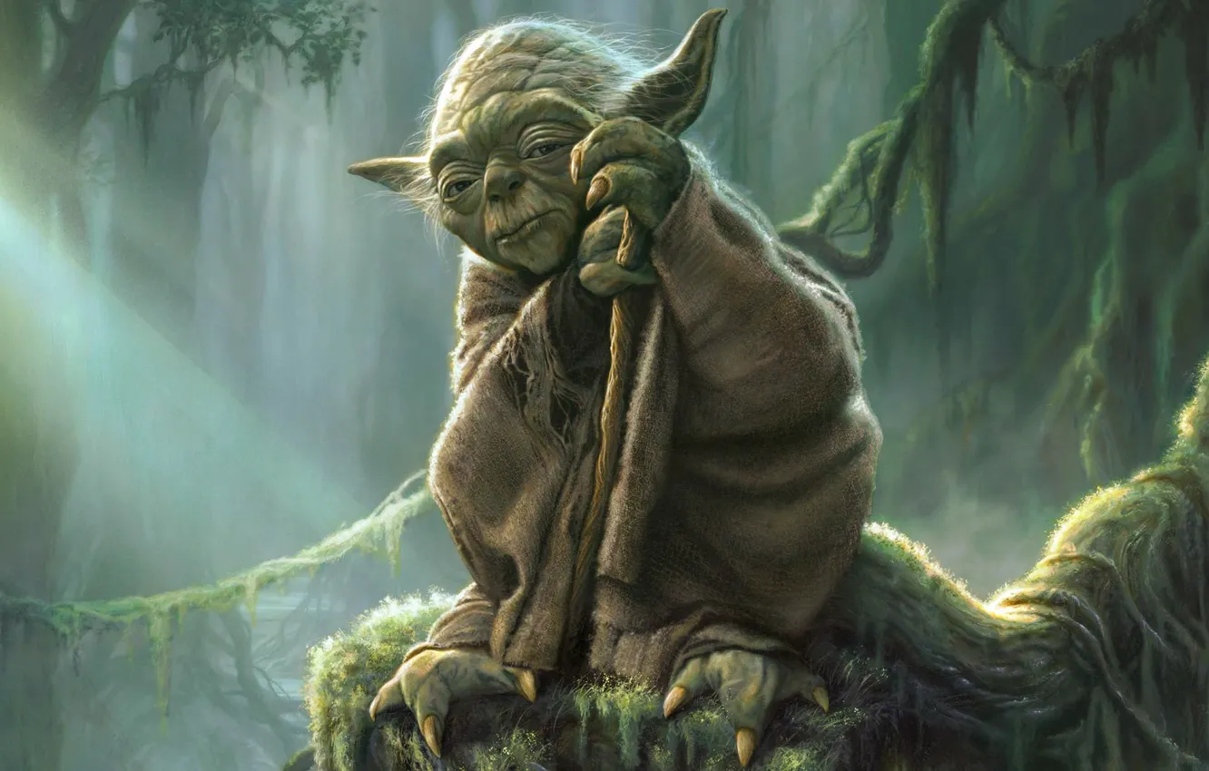 Фото обои Star Wars, Йода, Yoda, Джедай, Магистр