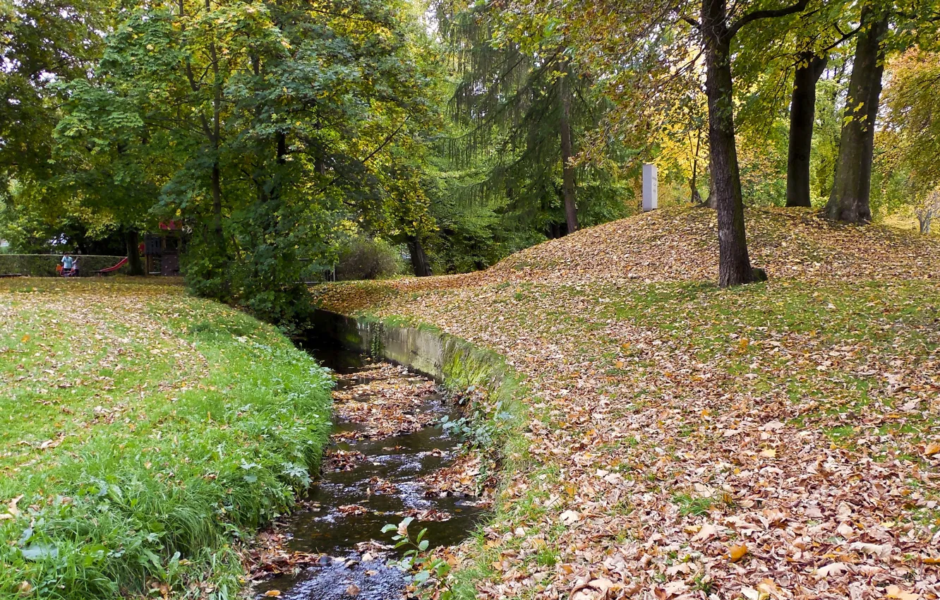 Фото обои осень, вода, парк, листва, листопад, water, park, Autumn