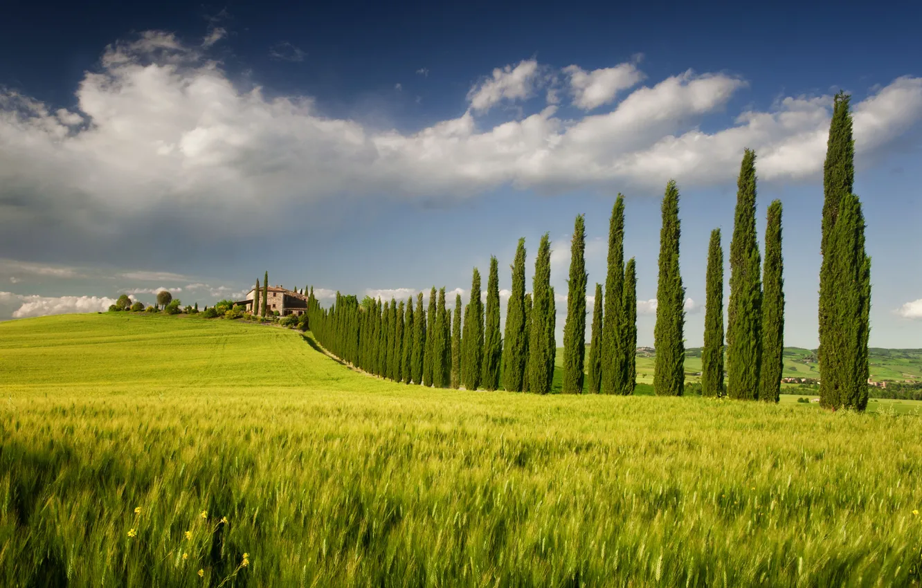 Фото обои поле, небо, деревья, дом, весна, Италия, Кампанья