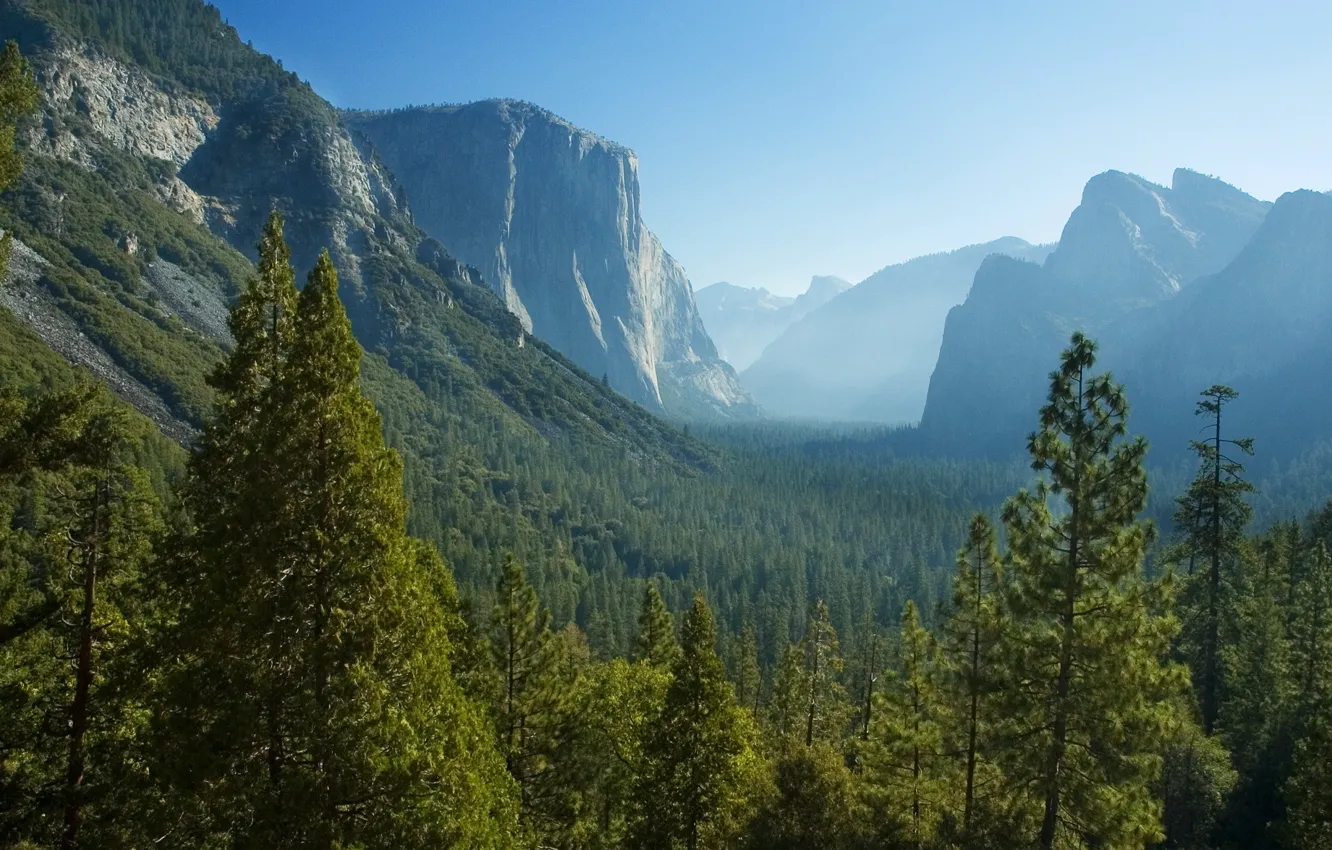 Фото обои лес, деревья, горы, скалы, долина, Калифорния, панорама, дымка