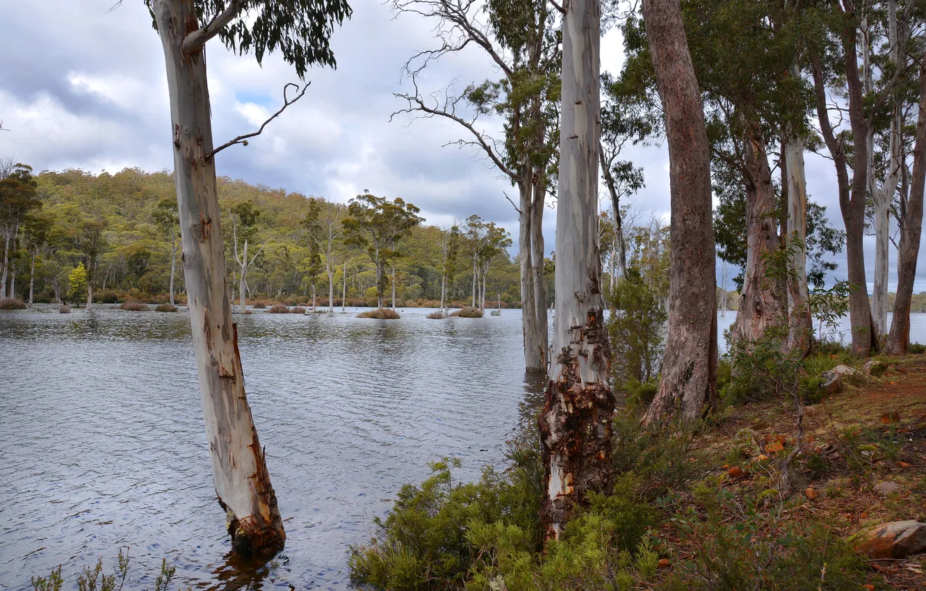 Фото обои небо, облака, деревья, горы, озеро, остров