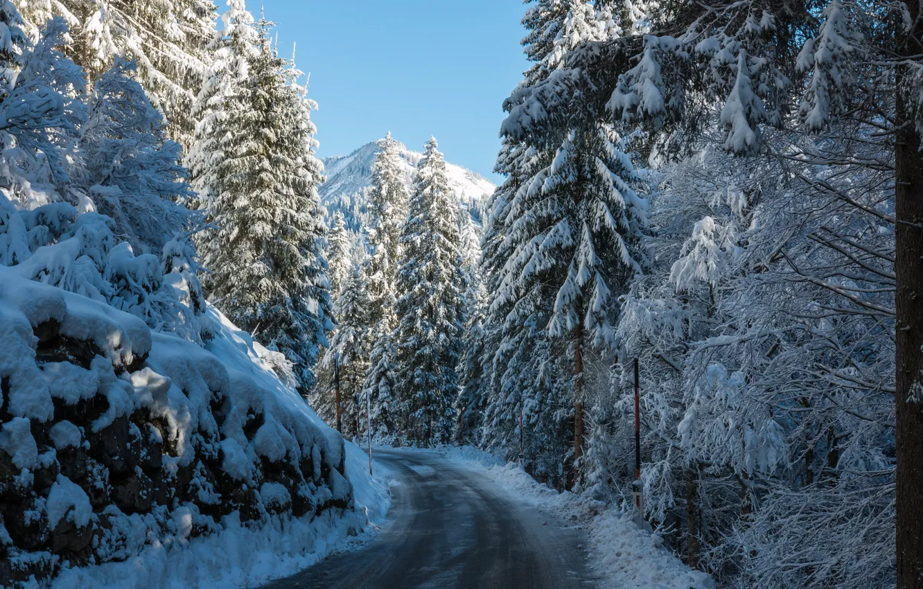 Фото обои зима, дорога, лес, горы