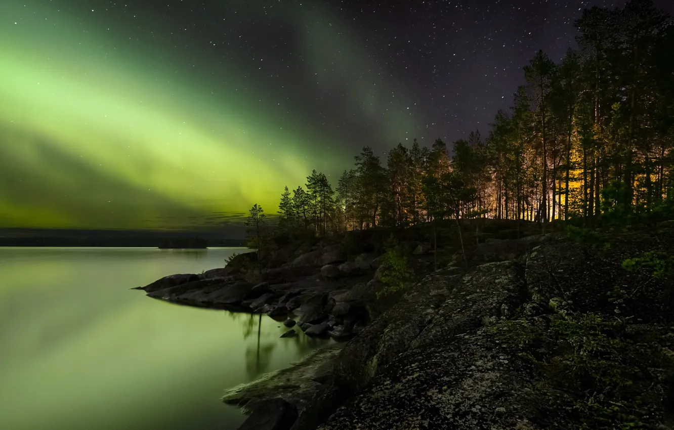 Фото обои лес, ночь, озеро, сияние