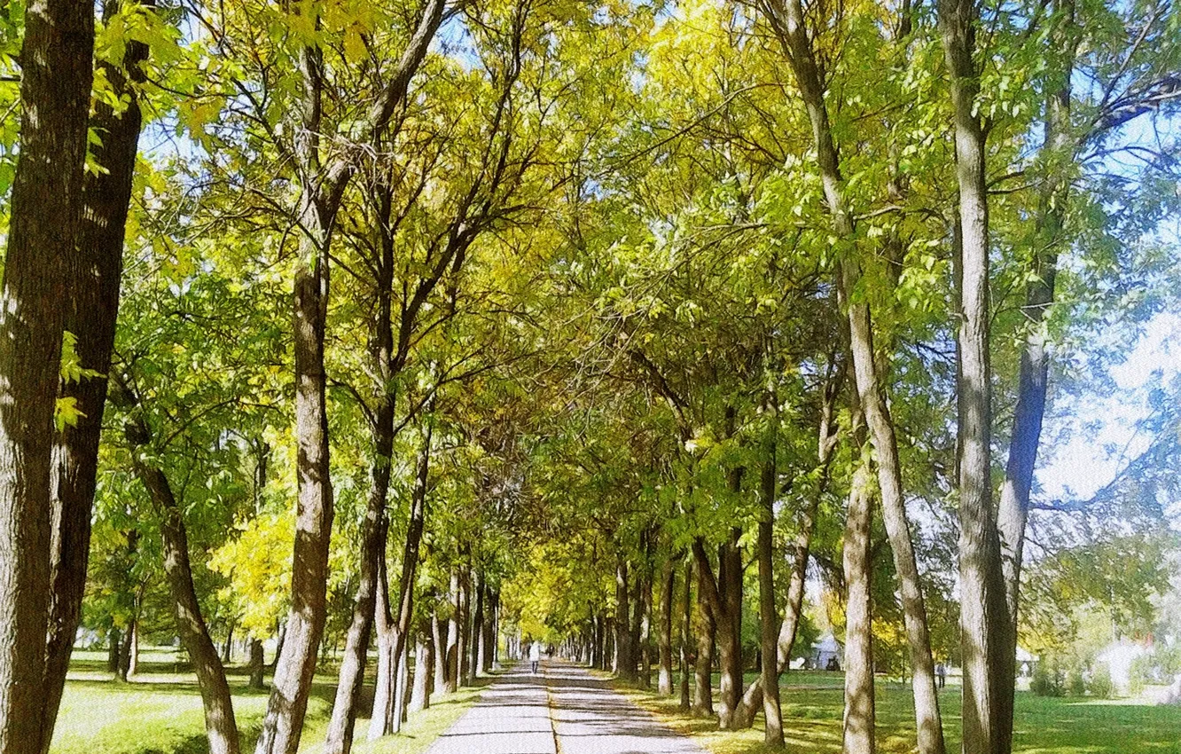 Фото обои осень, пейзаж, аллея, сентябрь 2023