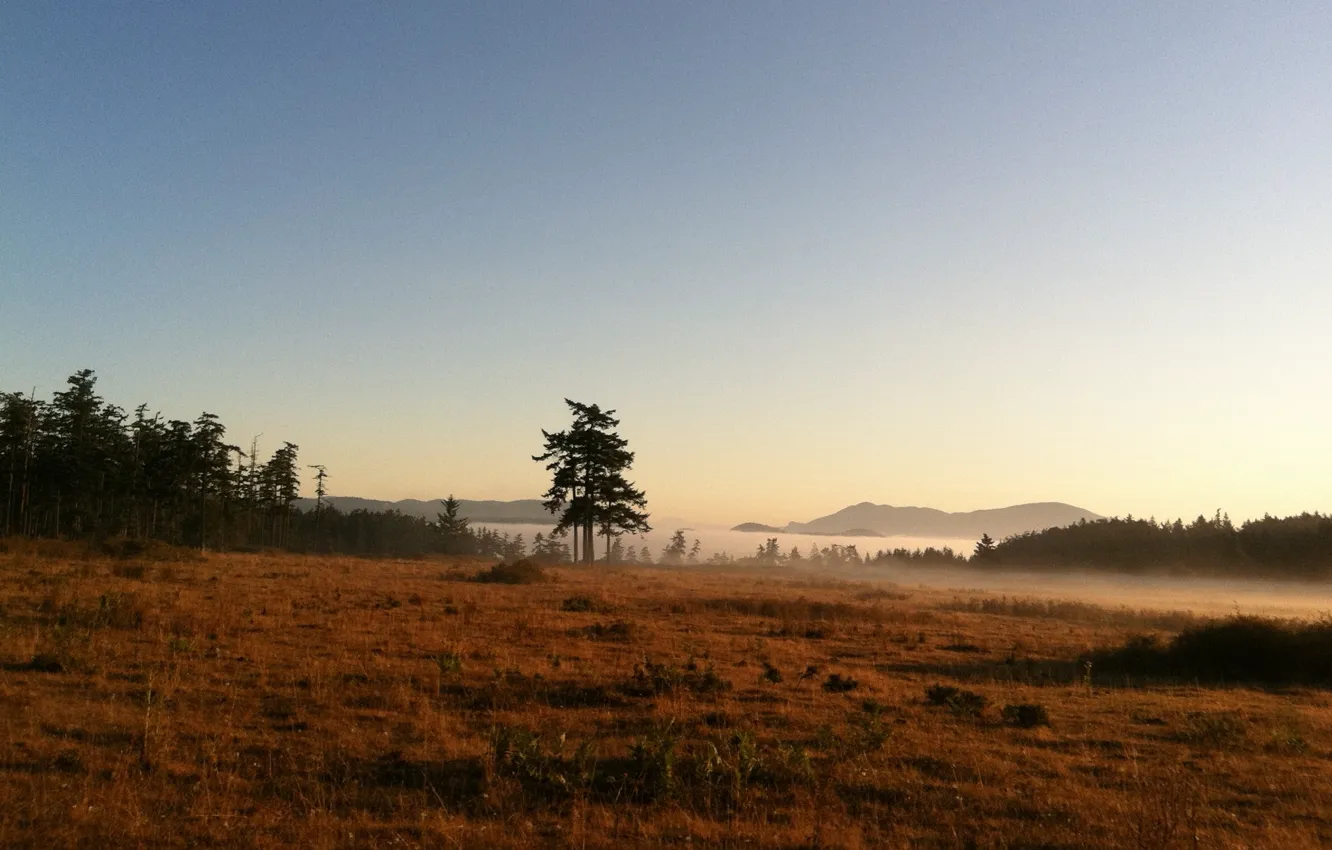 Фото обои горы, природа, туман, озеро, утро, morning, mist with meadow and tree