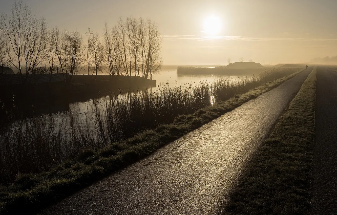 Фото обои дорога, туман, утро, канал