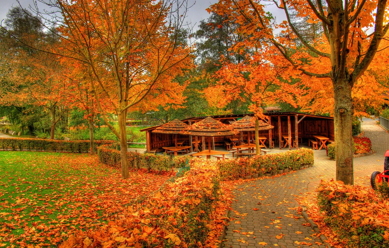 Фото обои осень, листья, деревья, парк, Германия, беседка, Заальбургзидлунг