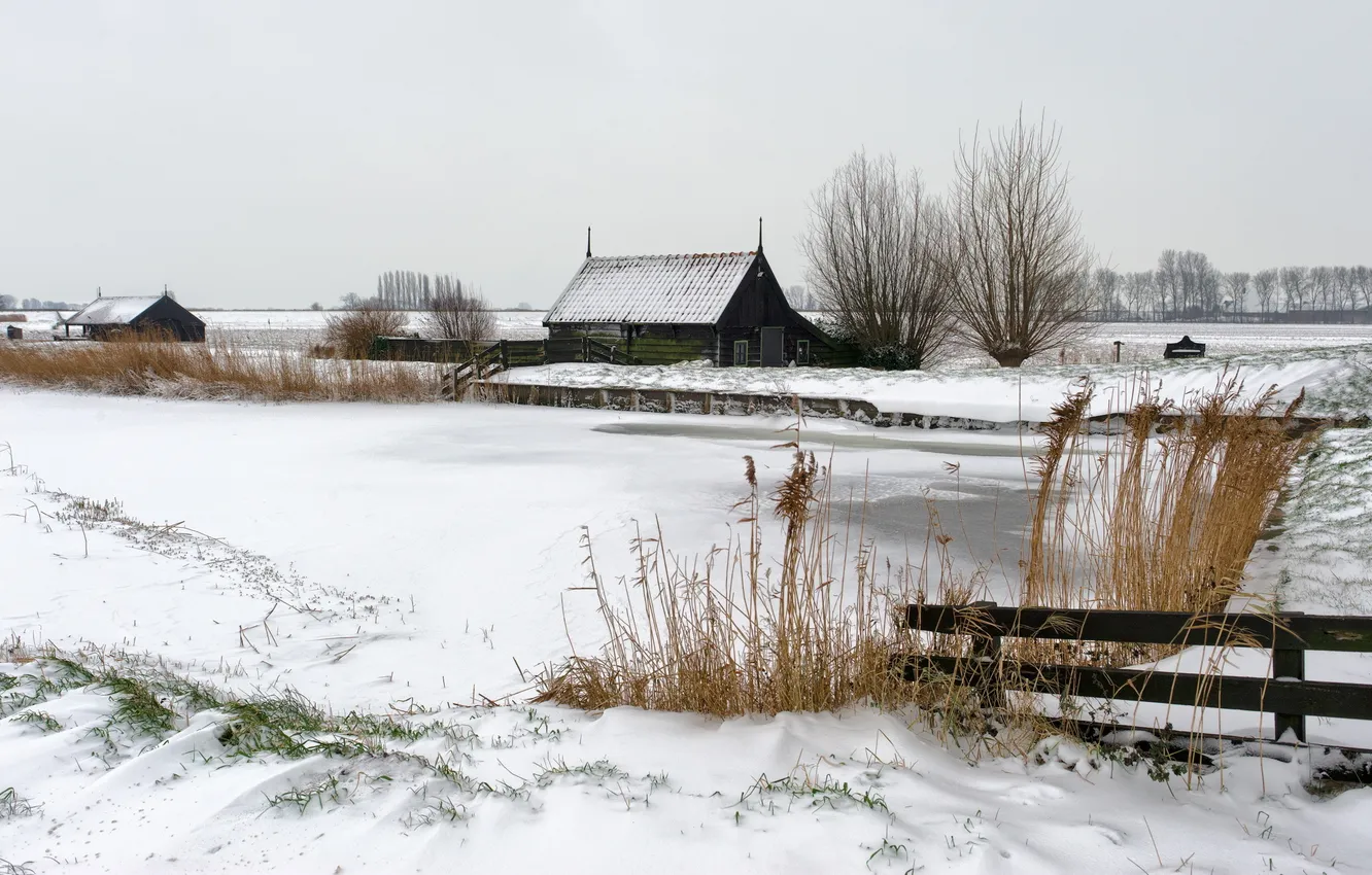 Фото обои зима, поле, дом