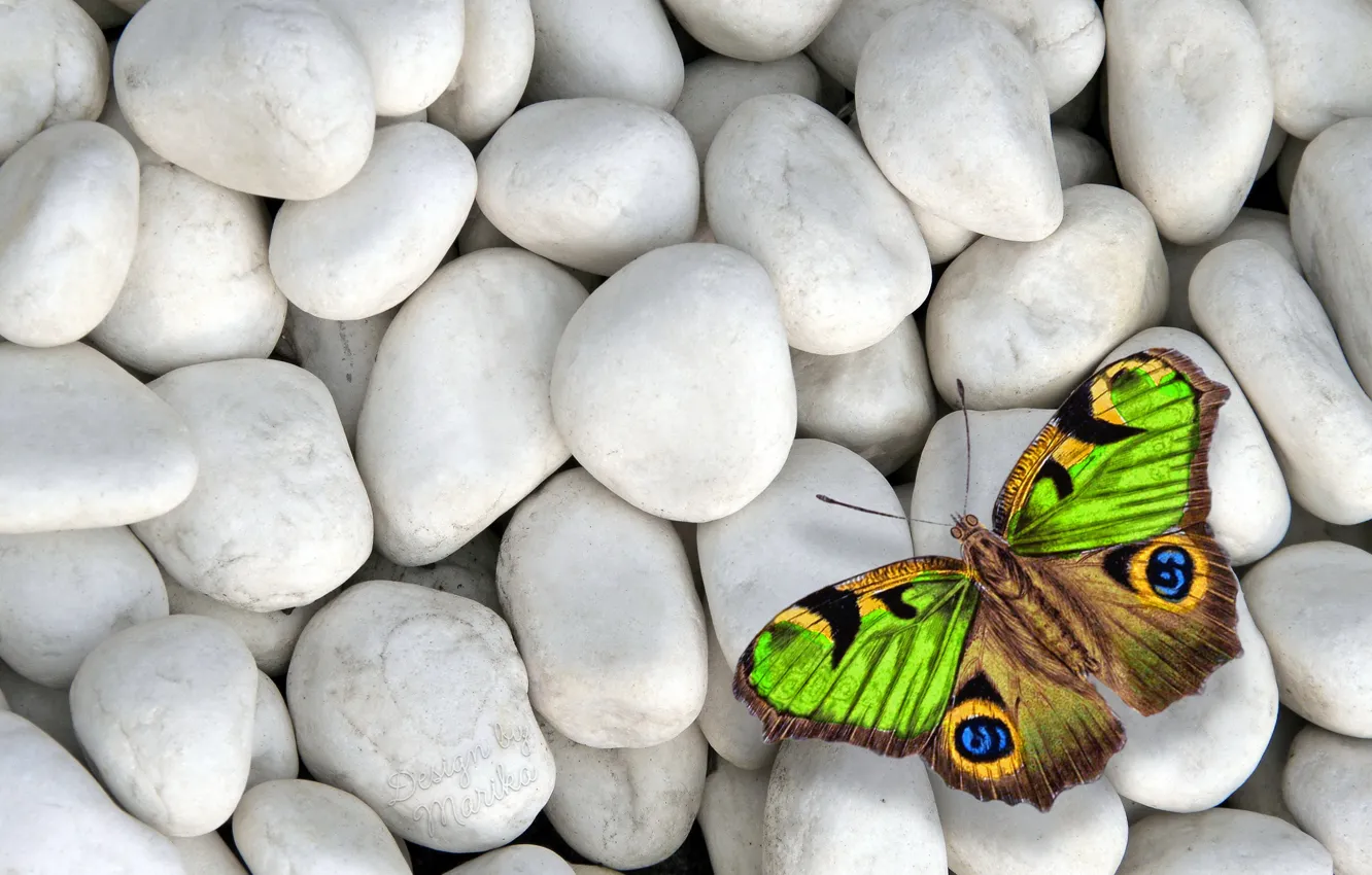 Фото обои камни, бабочка, colorful, butterfly, design by Marika, white stones
