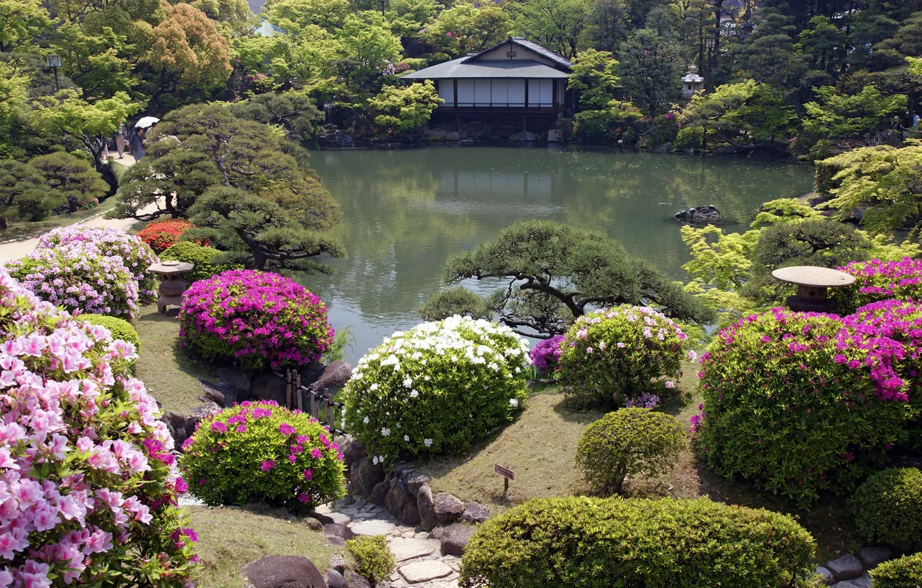 Фото обои цветы, домик, японский сад