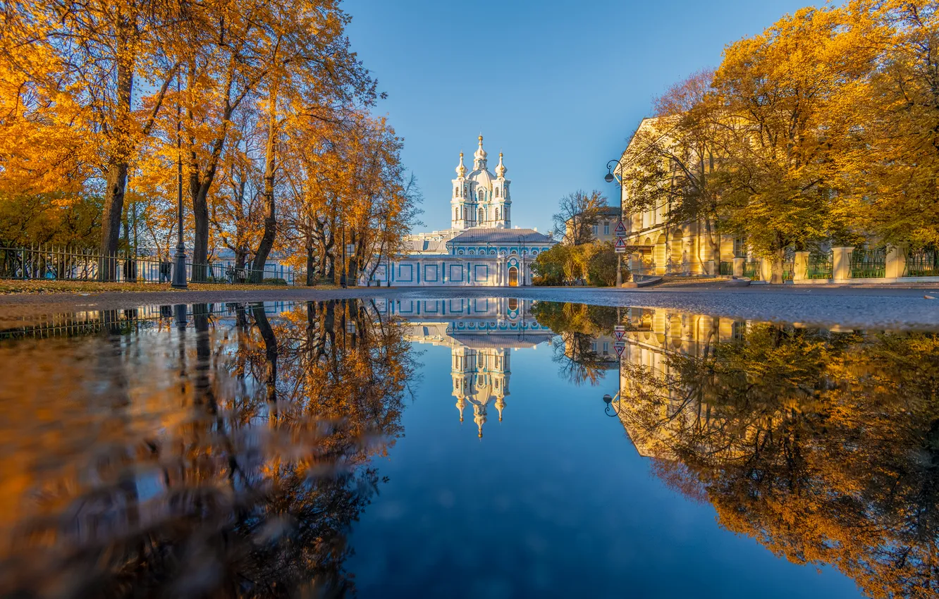 Фото обои осень, деревья, отражение, лужа, Санкт-Петербург, храм, Россия, Смольный собор