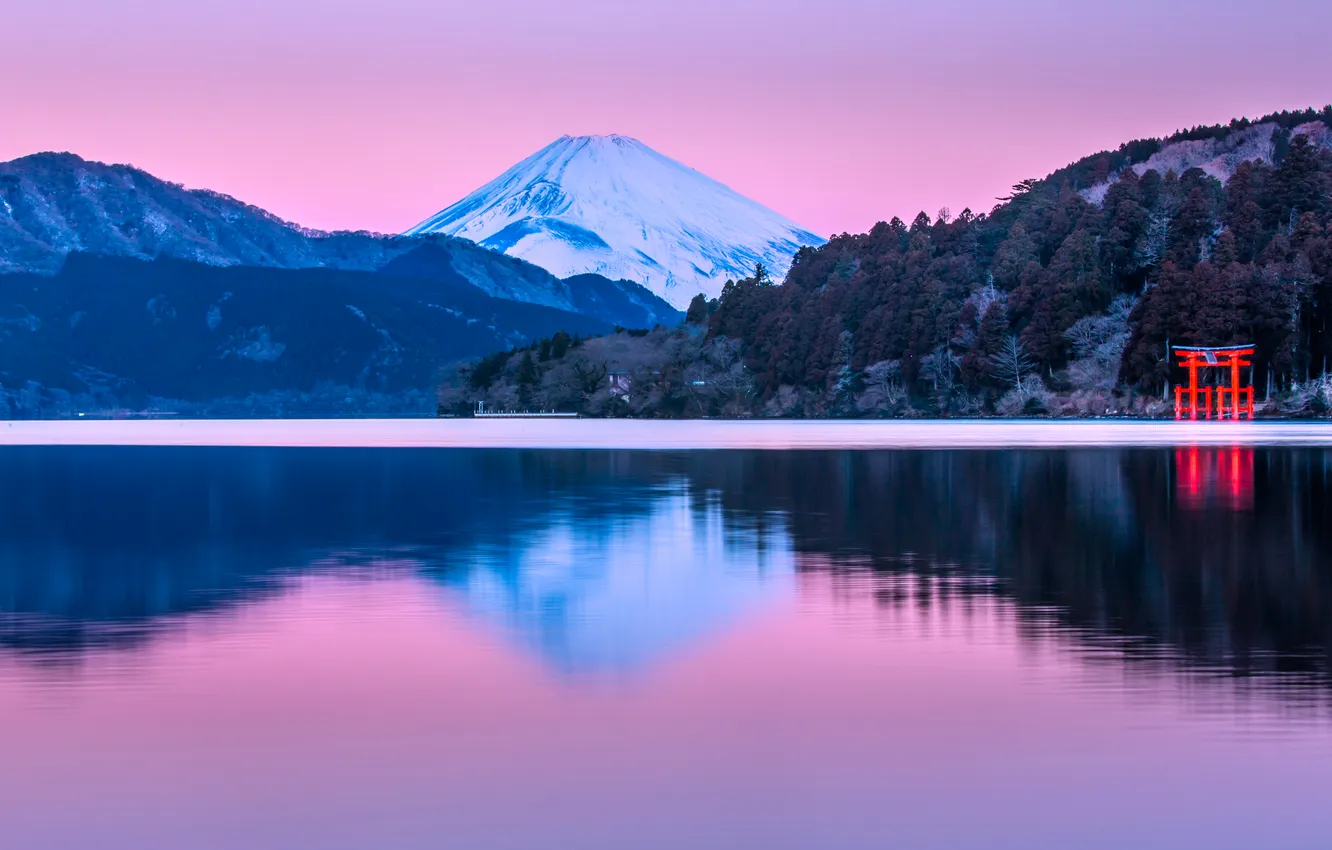 Фото обои forest, Mount Fuji, sky, landscape, nature, water, mountains, lake