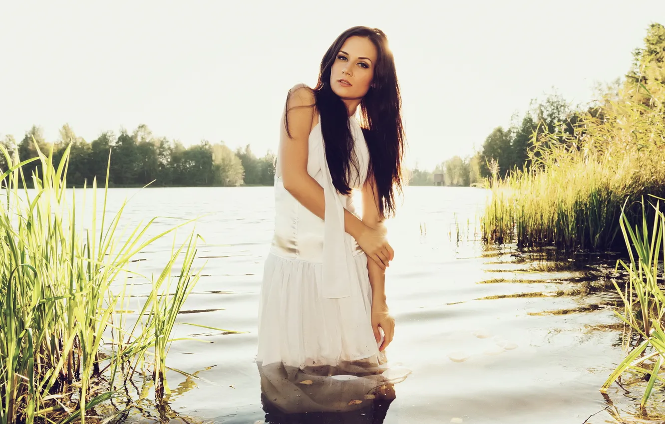 Фото обои солнце, озеро, камыши, платье, брюнетка, стоит, в белом, в воде