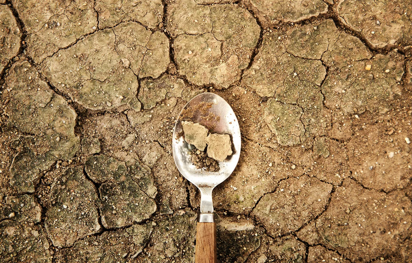 Фото обои food, agriculture, climate change