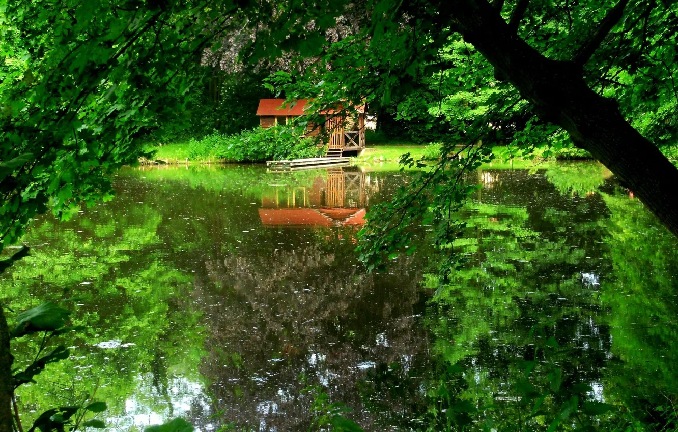Фото обои деревья, озеро, Dock