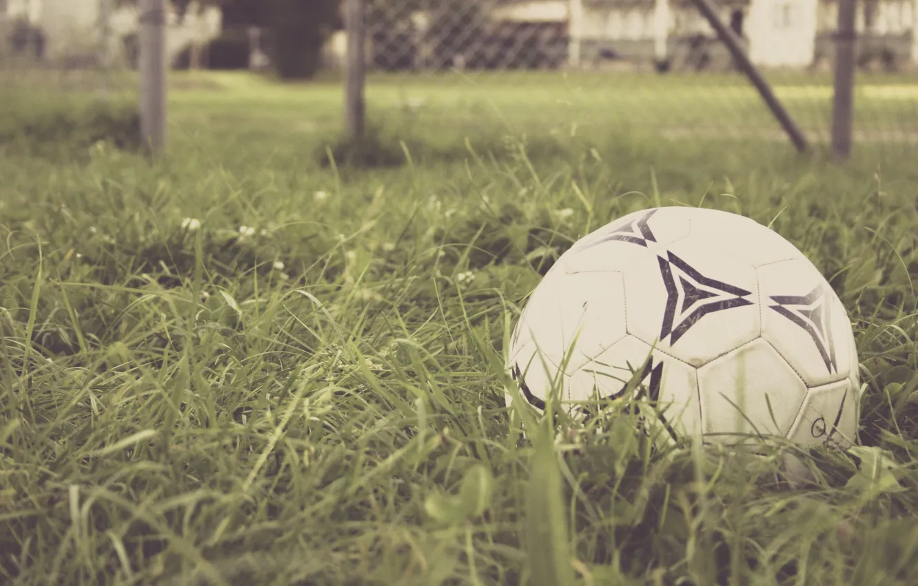Фото обои трава, футбол, игра, мяч