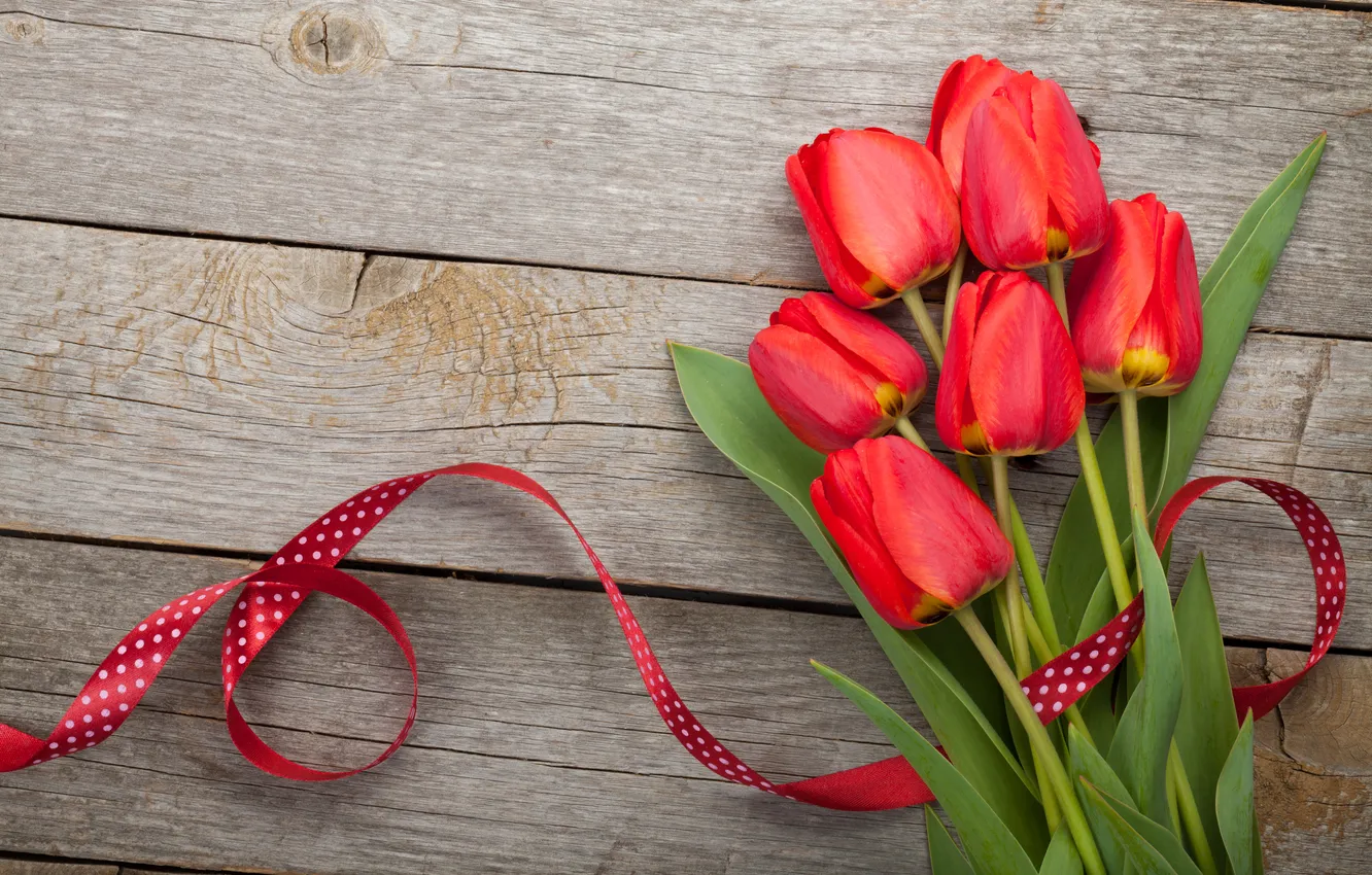 Фото обои цветы, букет, тюльпаны, красные, red, wood, flowers, romantic