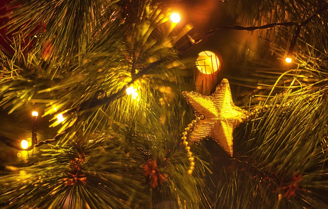 Фото обои зима, свет, ветки, праздник, звезда, Рождество, Новый год, бусы