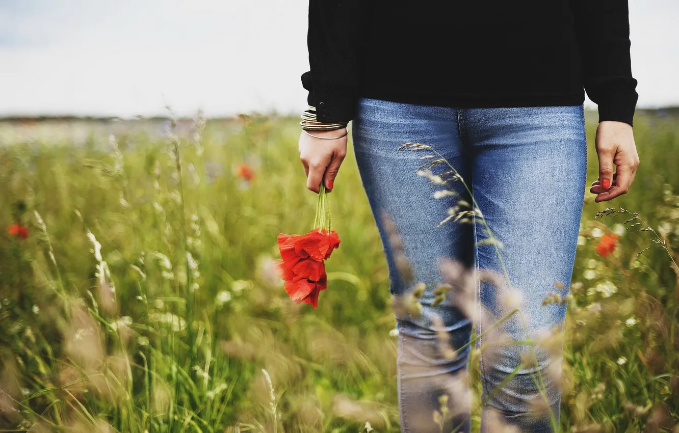 Фото обои поле, девушка, цветы, маки