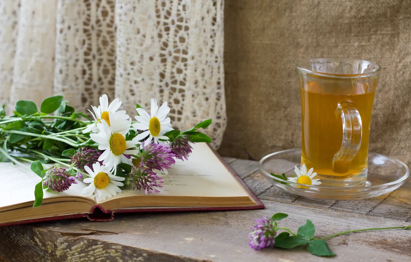 Фото обои цветы, чай, ромашки, лук, чашка, книга, блюдце, аллиум