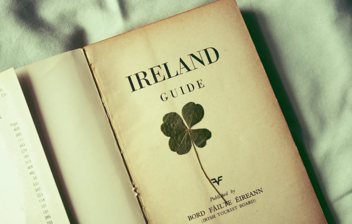 Фото обои лист, листок, книга, клевер, ирландия