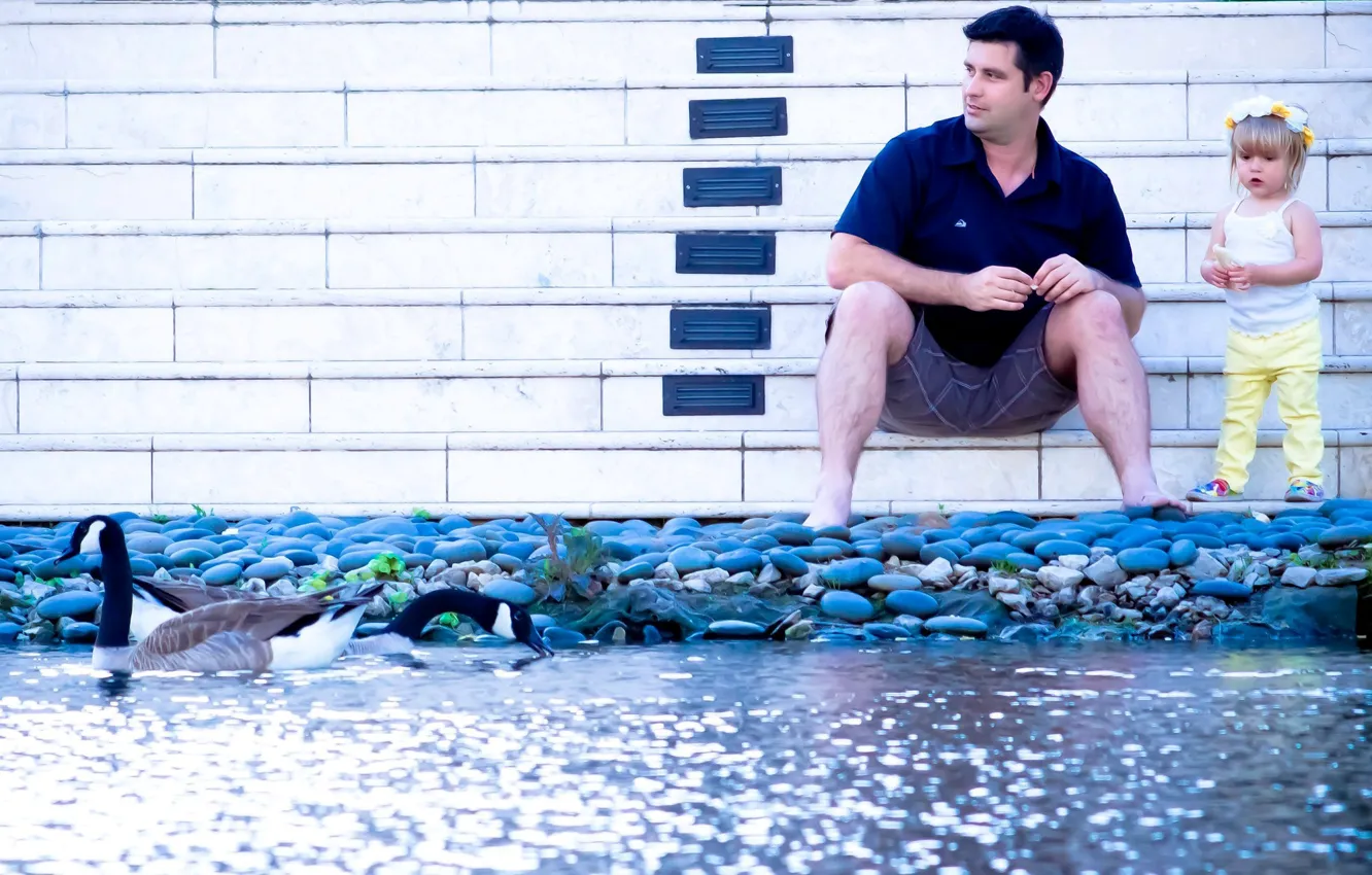 Фото обои вода, камни, птица, девочка, мужчина, гуси