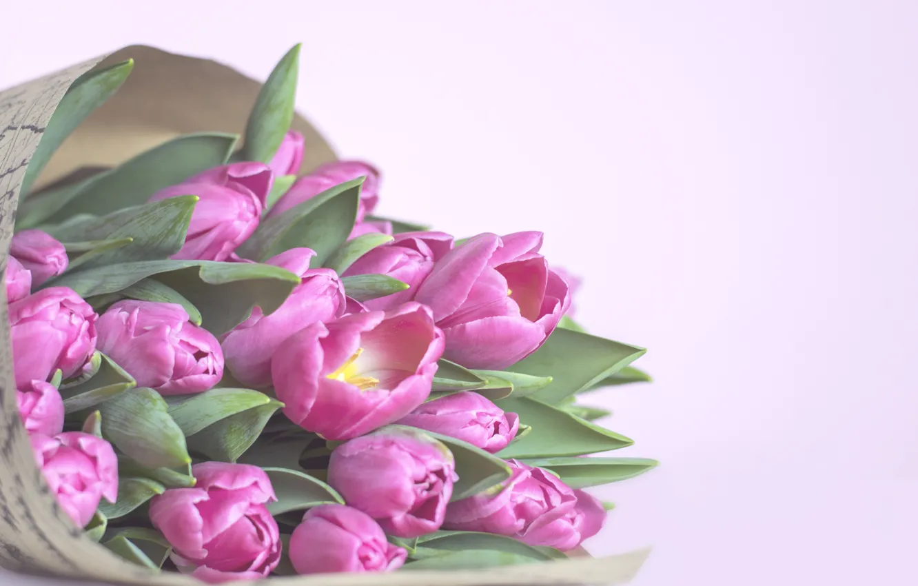 Фото обои фон, розовый, букет, тюльпаны