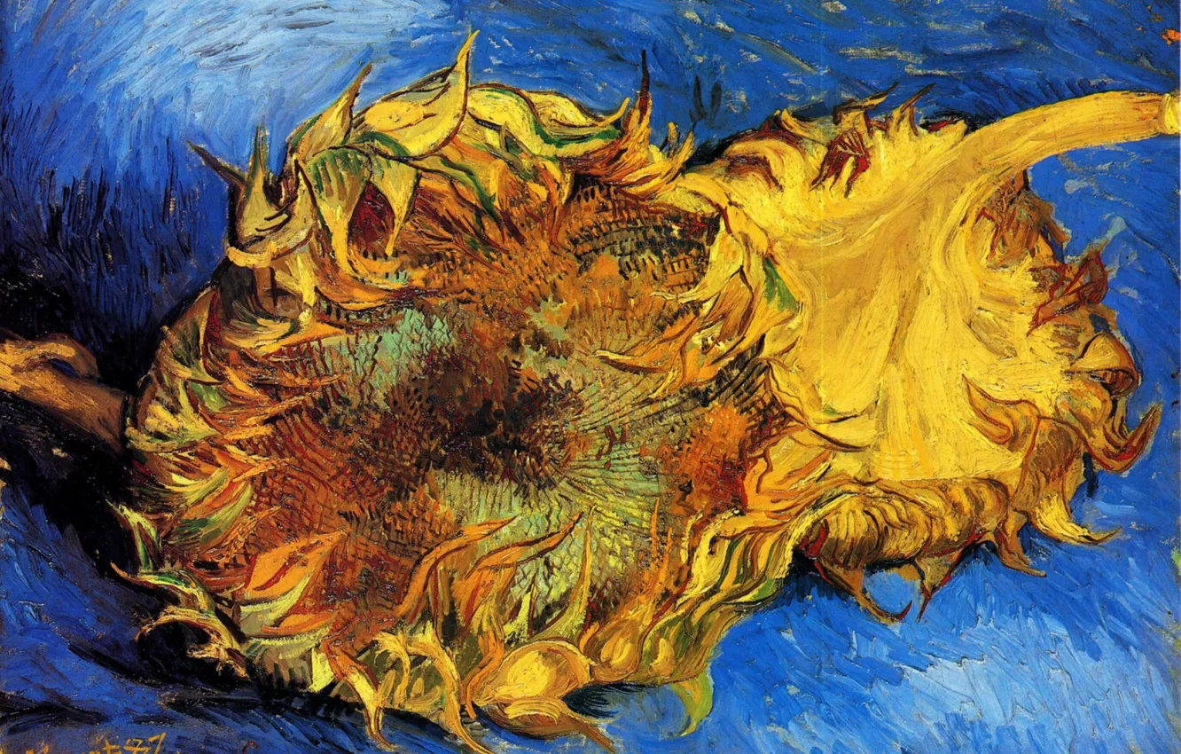 Фото обои подсолнух, Винсент ван Гог, vincent87, Two Cut Sunflowers 3